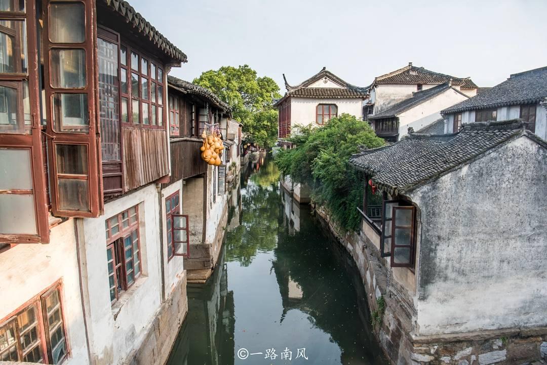 寻找萌小老虎